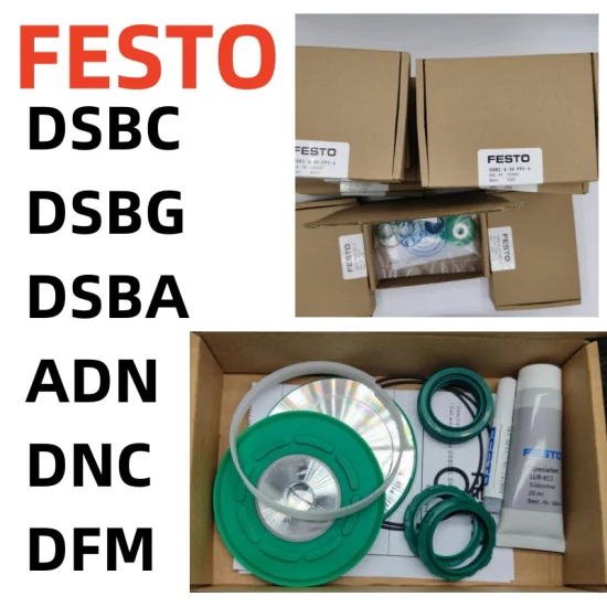 Air Cylinder Repair Kit Sealing Ring Dfm-12-16-20-25-32-40-50-63-80-100-P-a Dfm Service Kit